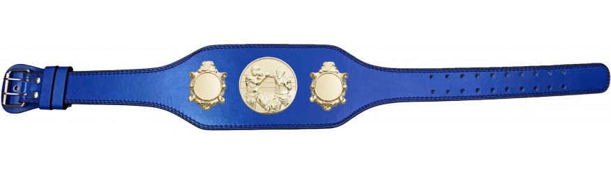 BOXING CHAMPIONSHIP BELT-BUD003/G/BOXG-4 COLOURS BOXING CHAMPIONSHIP BELT-BUD003/G/BOXG-4 COLOURS